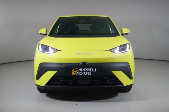 BYD Dolphin usata, con Alzacristalli elettrici