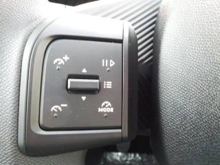 CITROEN C3 usata, con Specchietti laterali elettrici