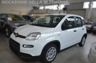 FIAT Panda usata, con Airbag Passeggero