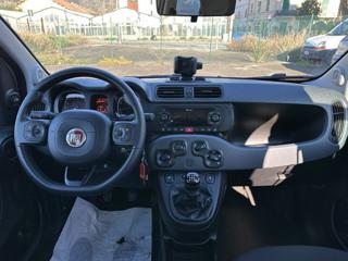 FIAT Panda usata 51