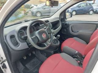 FIAT Panda usata, con Servosterzo
