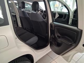 FIAT Panda usata 14
