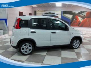 FIAT Panda usata, con Airbag