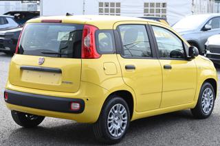 FIAT Panda usata, con Antifurto