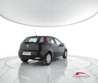 FIAT Punto usata 2