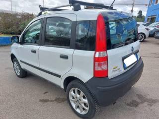 FIAT Panda usata 5