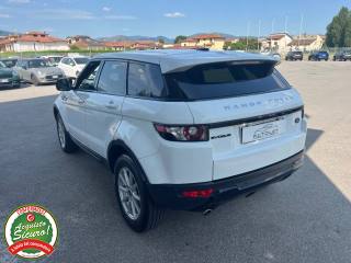 LAND ROVER Range Rover Evoque usata, con Controllo automatico clima