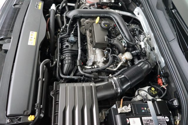 VOLKSWAGEN Golf usata 57