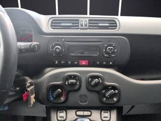 FIAT Panda usata 19