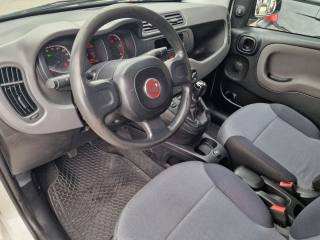 FIAT Panda usata, con Immobilizzatore elettronico
