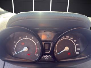 FORD EcoSport usata, con Fendinebbia