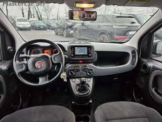 FIAT Panda usata, con Vetri oscurati