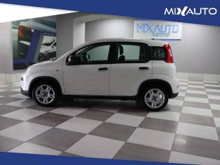 FIAT Panda usata, con Alzacristalli elettrici