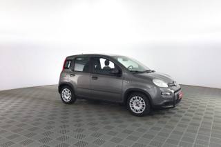 FIAT Panda usata 1