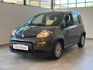 FIAT Panda 1.0 FireFly S&S Hybrid *UNICO PROPRIETARIO*