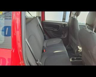 FIAT New Panda usata 19