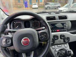 FIAT Panda usata, con Immobilizzatore elettronico