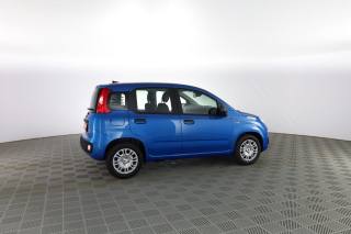 FIAT Panda usata 2