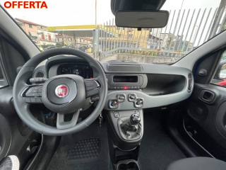 FIAT Panda usata 11