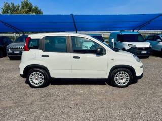 FIAT Panda usata, con Boardcomputer