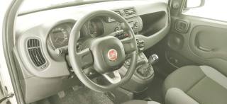 FIAT Panda usata 49
