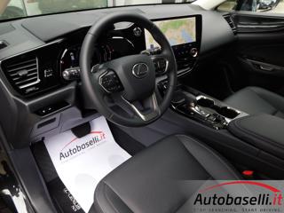 LEXUS NX 300h usata, con Airbag laterali