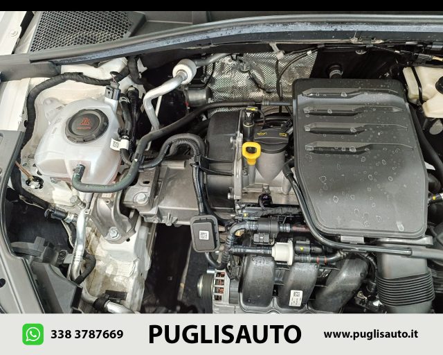 SKODA Fabia usata 22