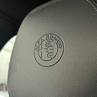 ALFA ROMEO Stelvio usata, con Cronologia tagliandi