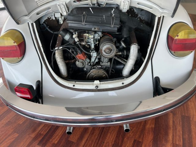 VOLKSWAGEN Maggiolone usata 13