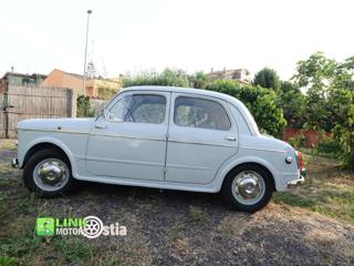 FIAT 1100 usata 3