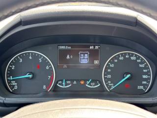FORD EcoSport usata 14