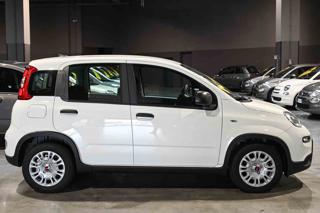 FIAT Panda usata, con Alzacristalli elettrici