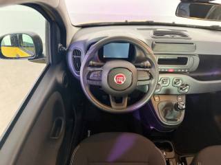 FIAT Pandina usata 4