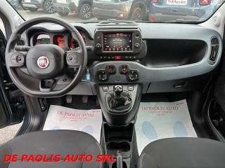 FIAT Panda Cross usata, con Climatizzatore