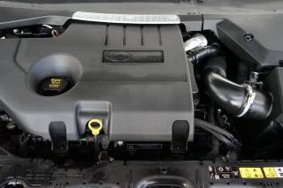 LAND ROVER Range Rover Evoque usata 42