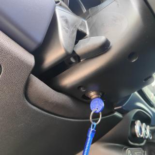 FIAT 500L usata, con Volante in pelle