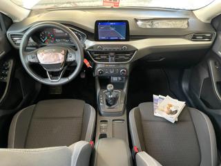 FORD Focus usata, con Sedile posteriore sdoppiato