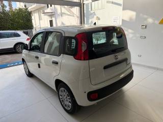 FIAT Panda usata, con Antifurto