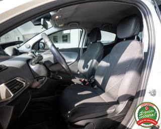 LANCIA Ypsilon usata, con Cronologia tagliandi