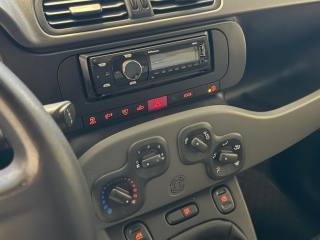 FIAT Panda usata 12