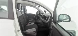 FIAT Panda usata 50