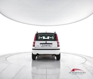 FIAT Panda usata 5