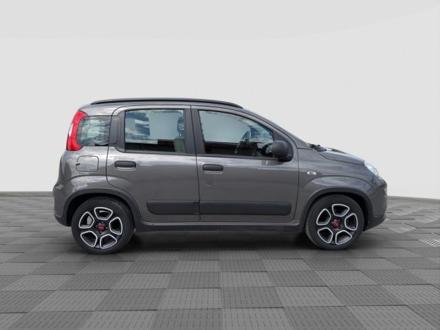 FIAT Panda usata 5