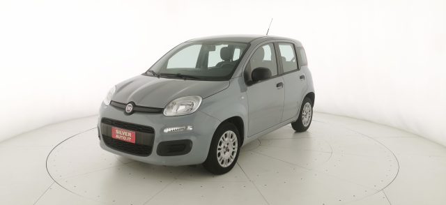 FIAT Panda usata 2
