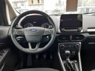 FORD EcoSport usata, con Antifurto