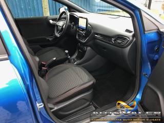 FORD Puma usata, con Cronologia tagliandi