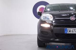 FIAT Panda usata 31