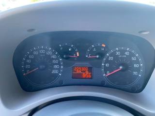 FIAT Panda usata, con Fendinebbia
