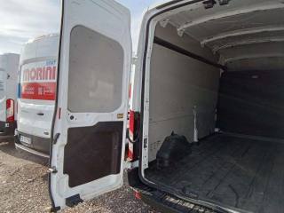 FORD Transit usata, con Fendinebbia