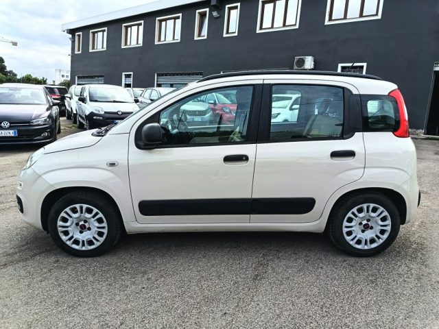 FIAT Panda usata 4